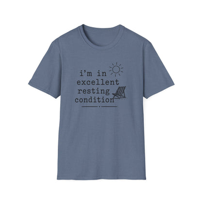 Excellent resting condition Tee